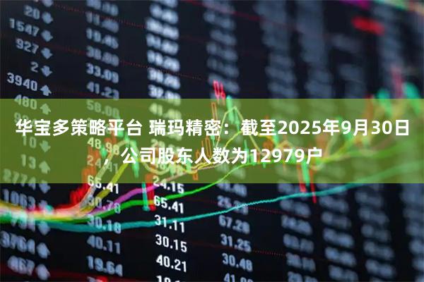 华宝多策略平台 瑞玛精密：截至2025年9月30日，公司股东人数为12979户