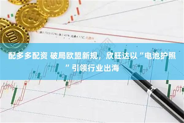 配多多配资 破局欧盟新规，欣旺达以“电池护照”引领行业出海