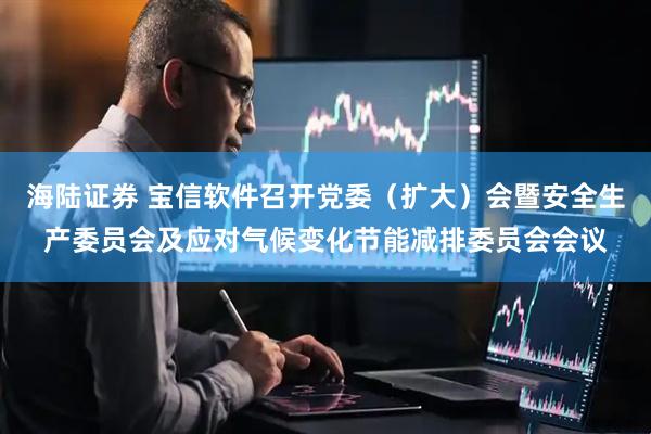 海陆证券 宝信软件召开党委（扩大）会暨安全生产委员会及应对气候变化节能减排委员会会议
