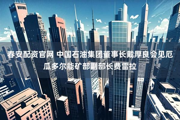 春安配资官网 中国石油集团董事长戴厚良会见厄瓜多尔能矿部副部长费雷拉