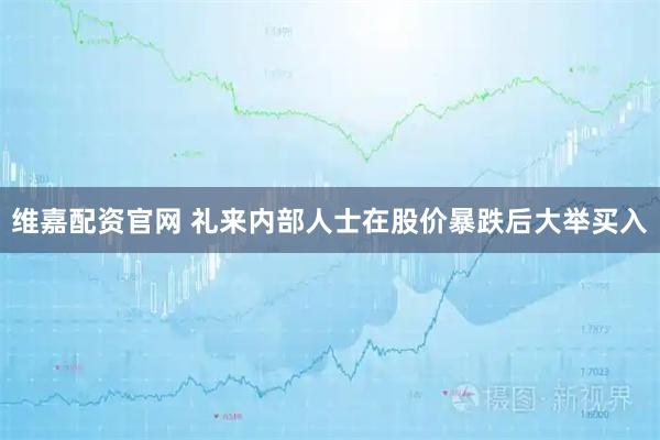 维嘉配资官网 礼来内部人士在股价暴跌后大举买入